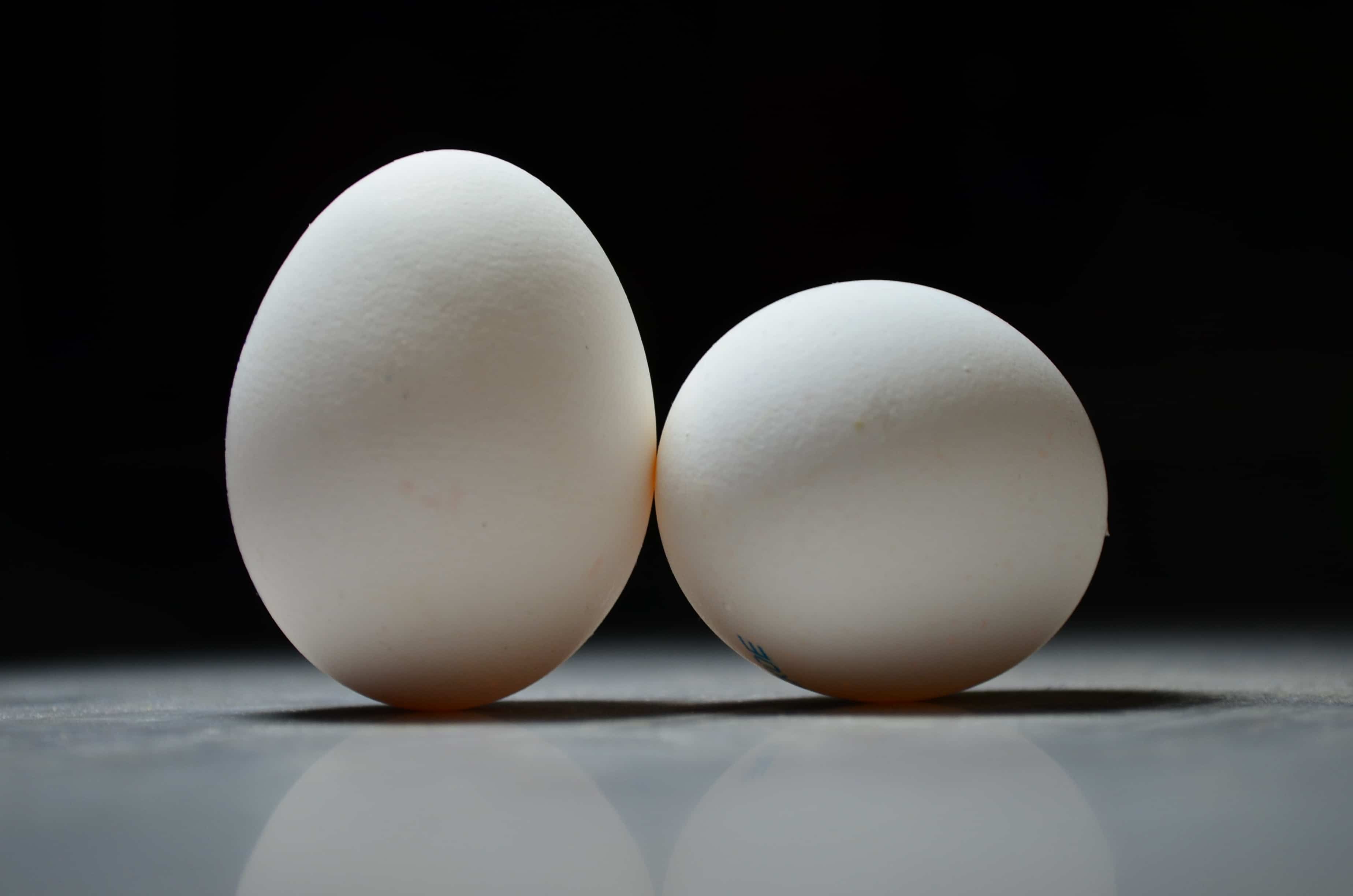 ffar prize seeks to revolutionize egg production