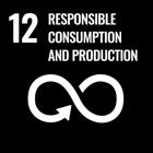 UN Sustainable Goal 12