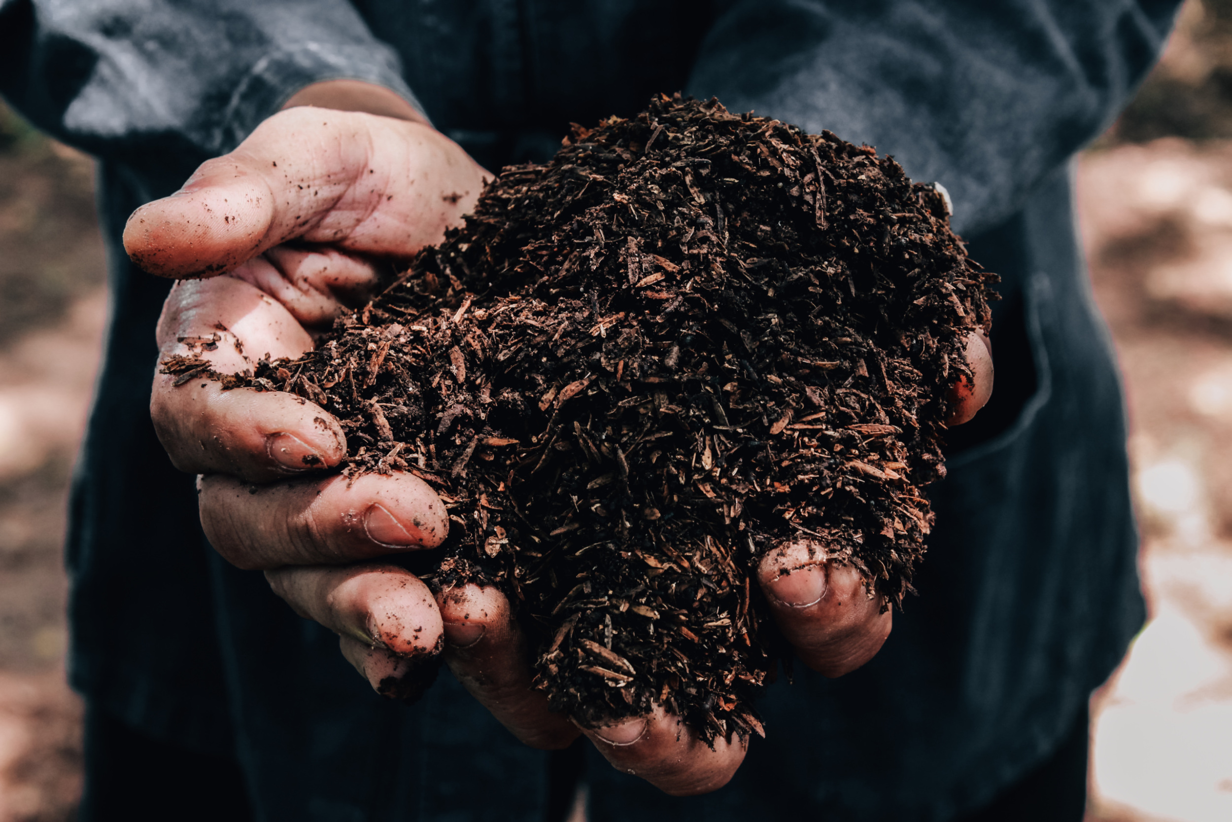  soil health