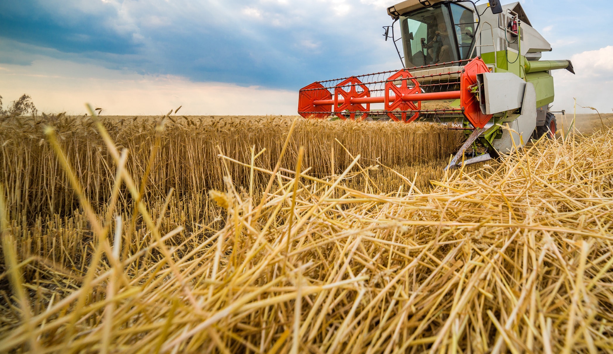 farming crops