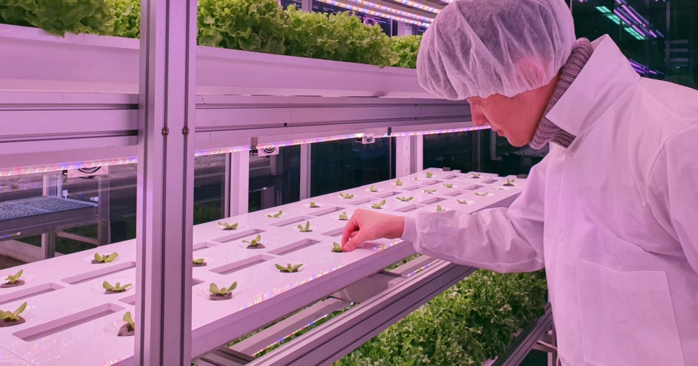 Precision Indoor Plants - Foundation for Food & Agriculture Research