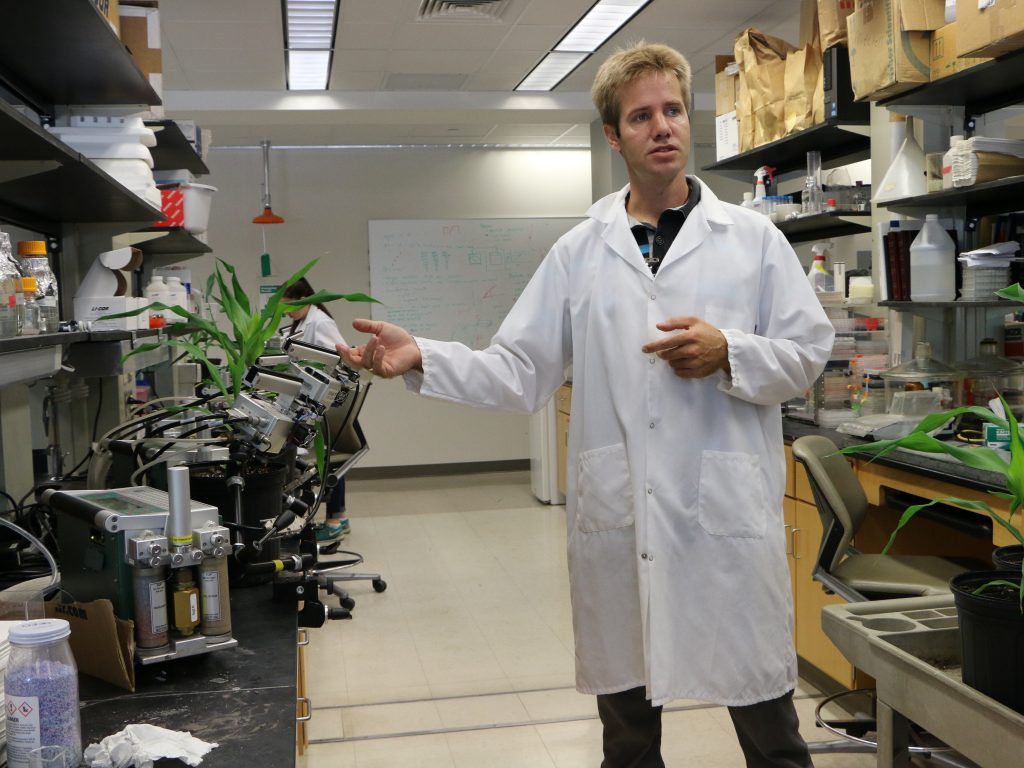Image of Johannes Kromdijk in the research lab. 