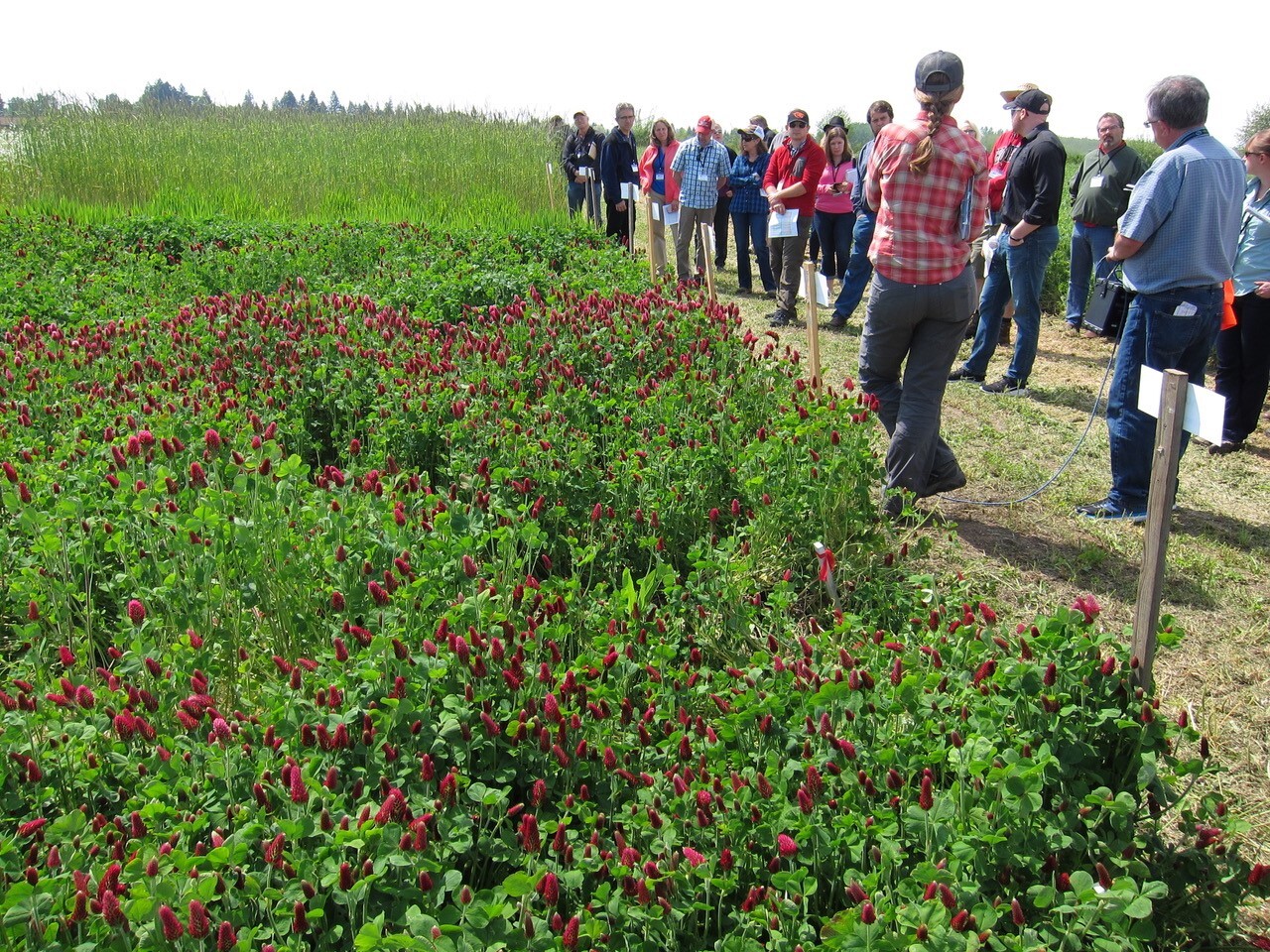 FFAR Grant Provides Technical Training to Enhance Soil Health