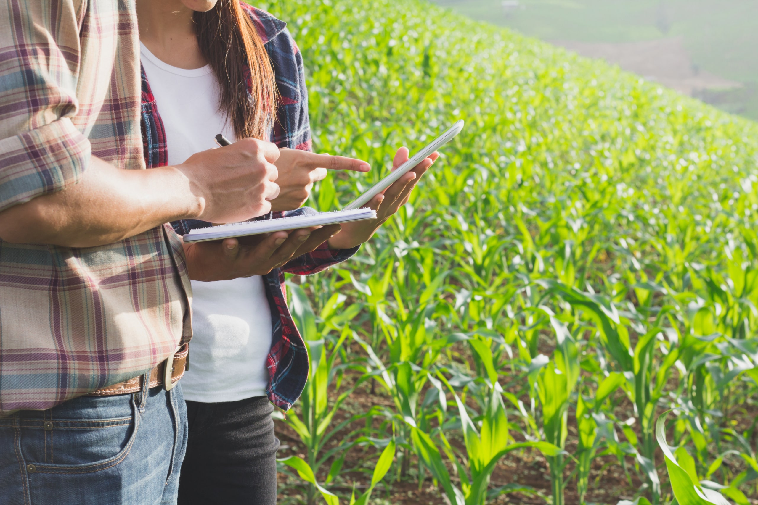 FFAR Seeks Nominations for 2021 New Innovator in Food and Agriculture Research Award