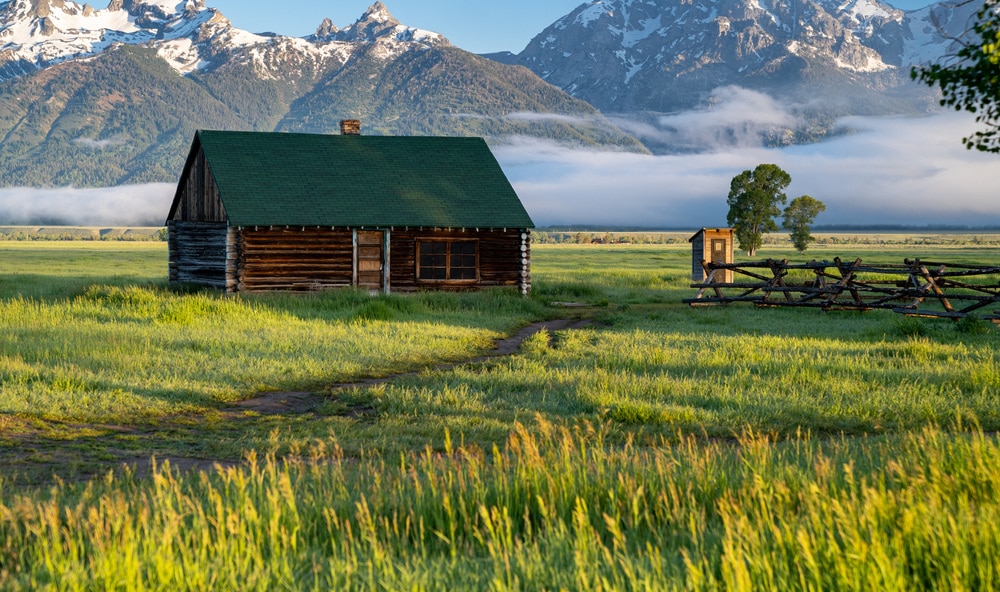 What Is A Homestead Vs Farm