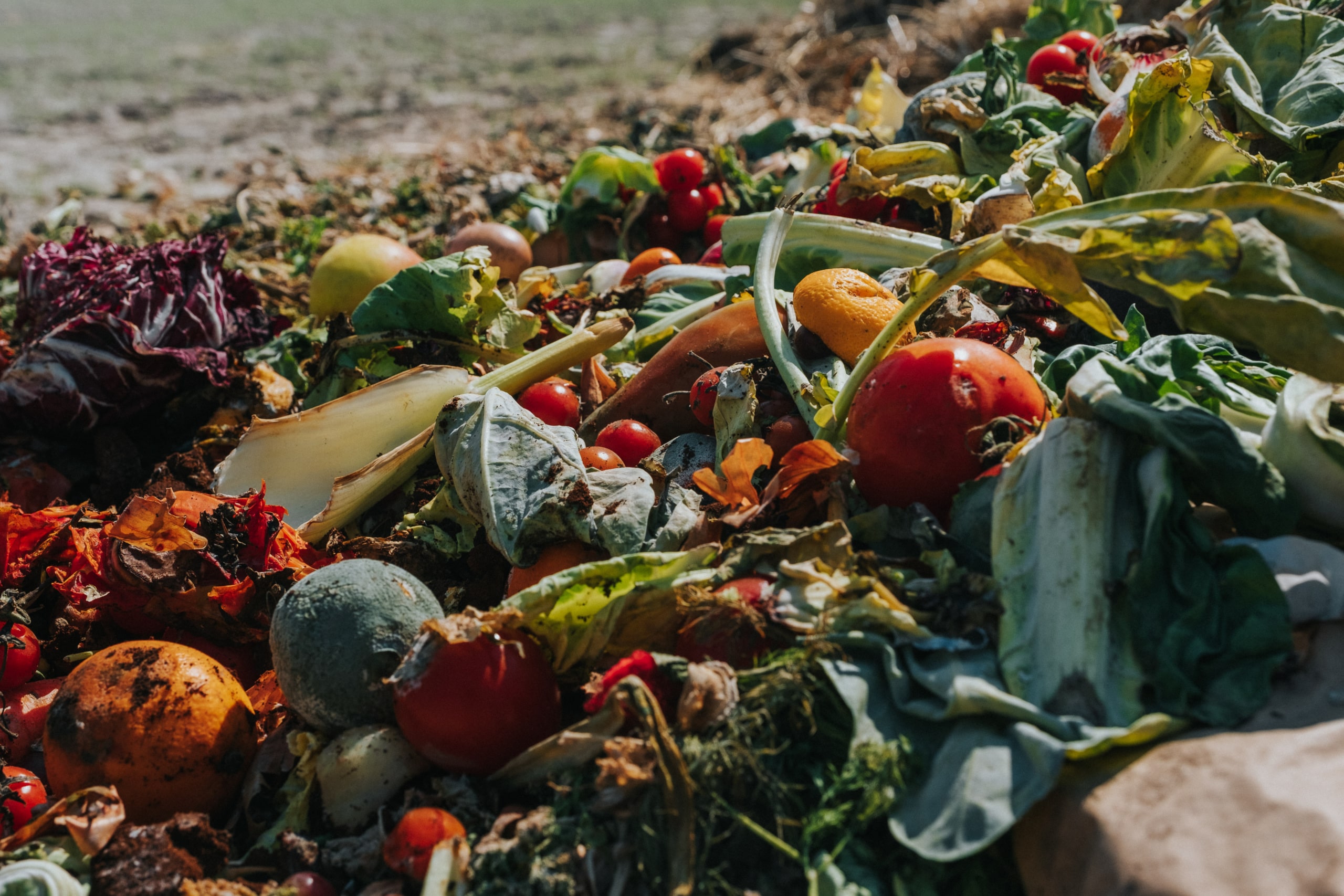Food Waste Challenge - Foundation for Food & Agriculture Research