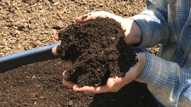 A person using their hands to scoop up fresh compost mixed with soil