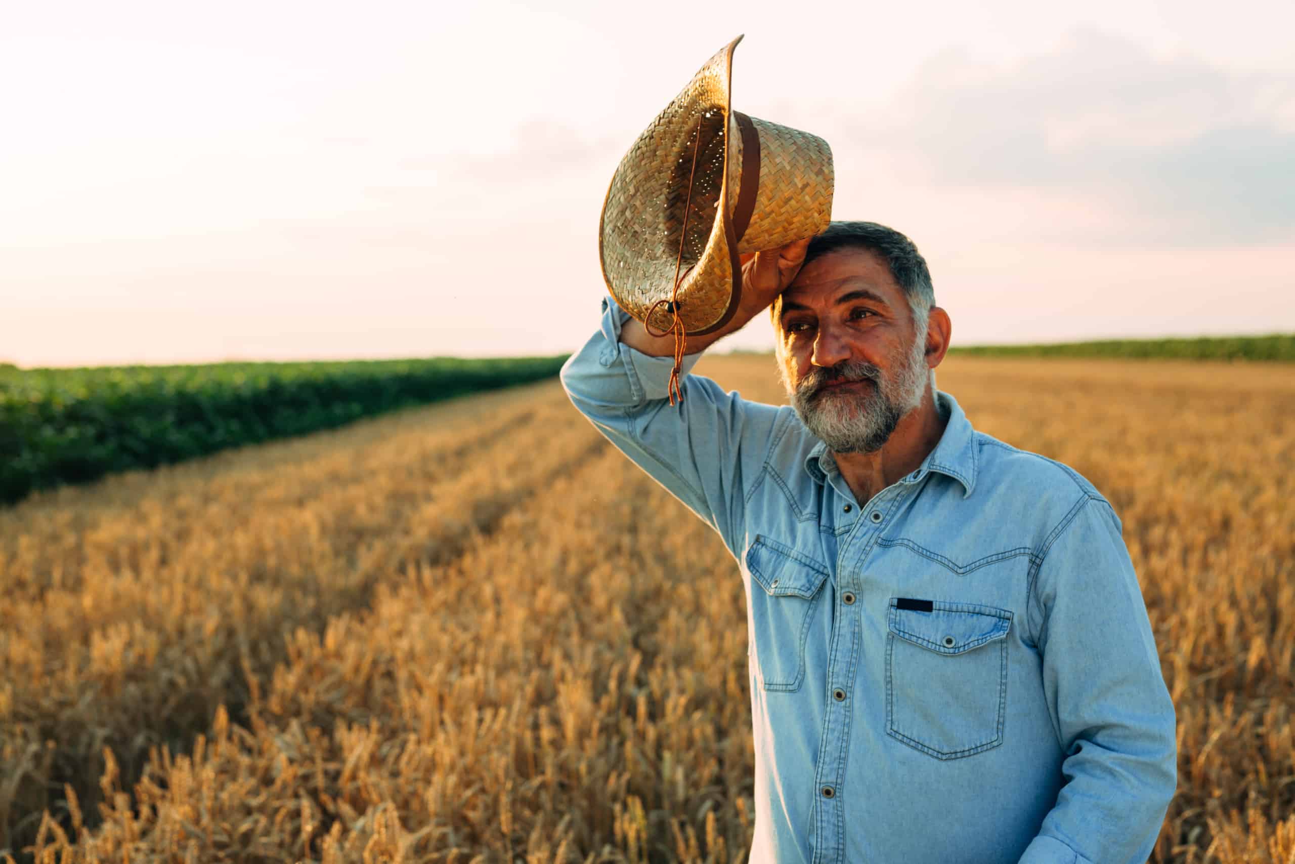 Man with hat in hand standing in a field of wheat
