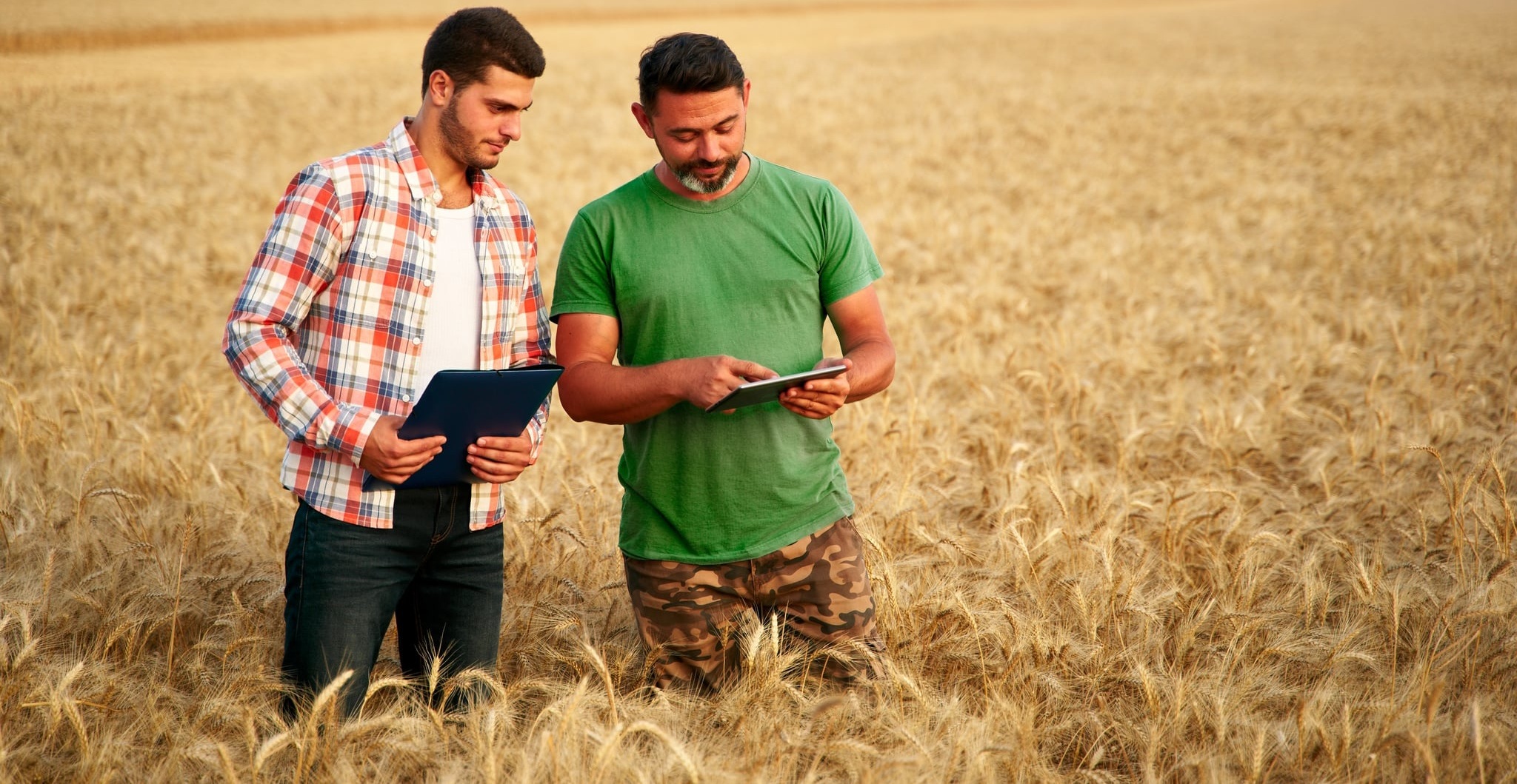 Two men standing together in the middle of a wheat field, both looking down at the laptop computer in the hands of the man on the right