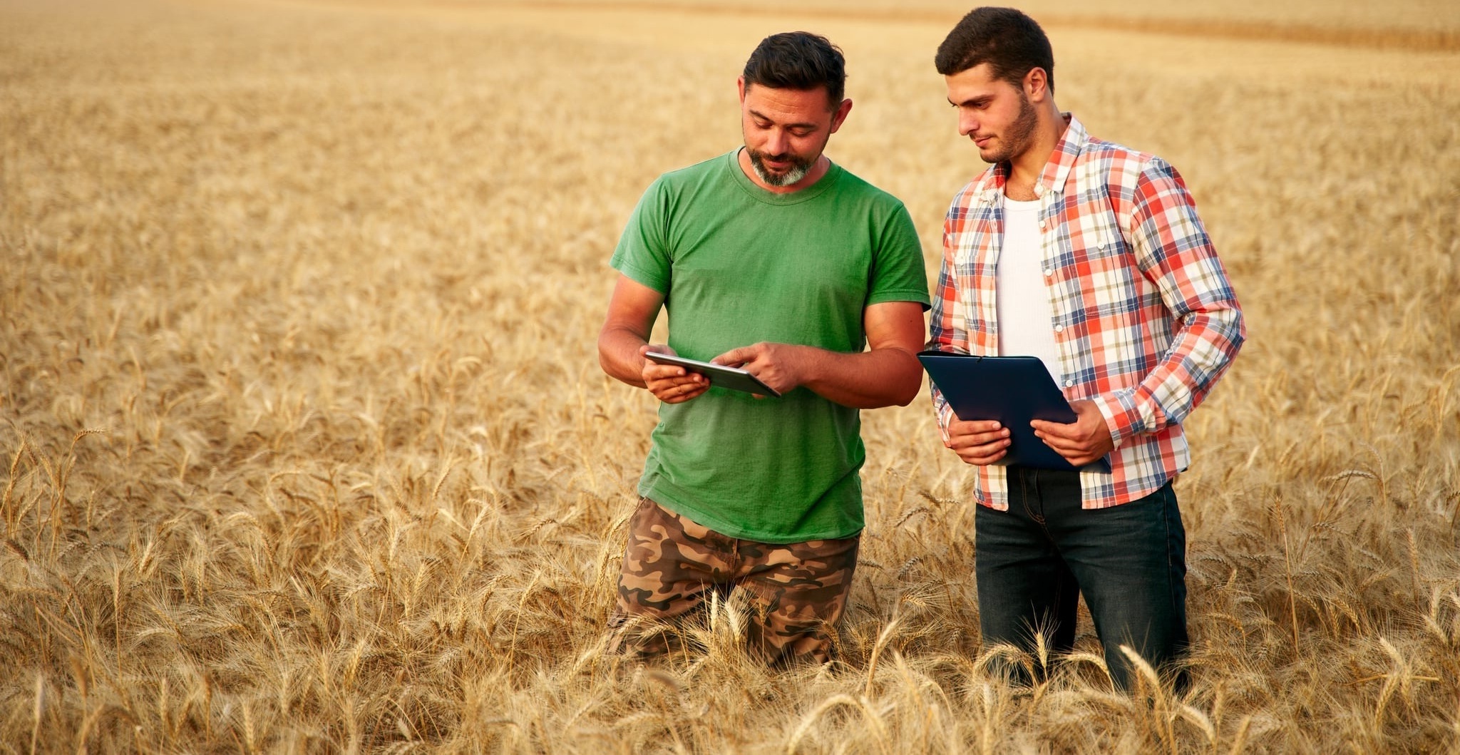 Two men standing together in the middle of a wheat field, both looking down at the laptop computer in the hands of the man on the right