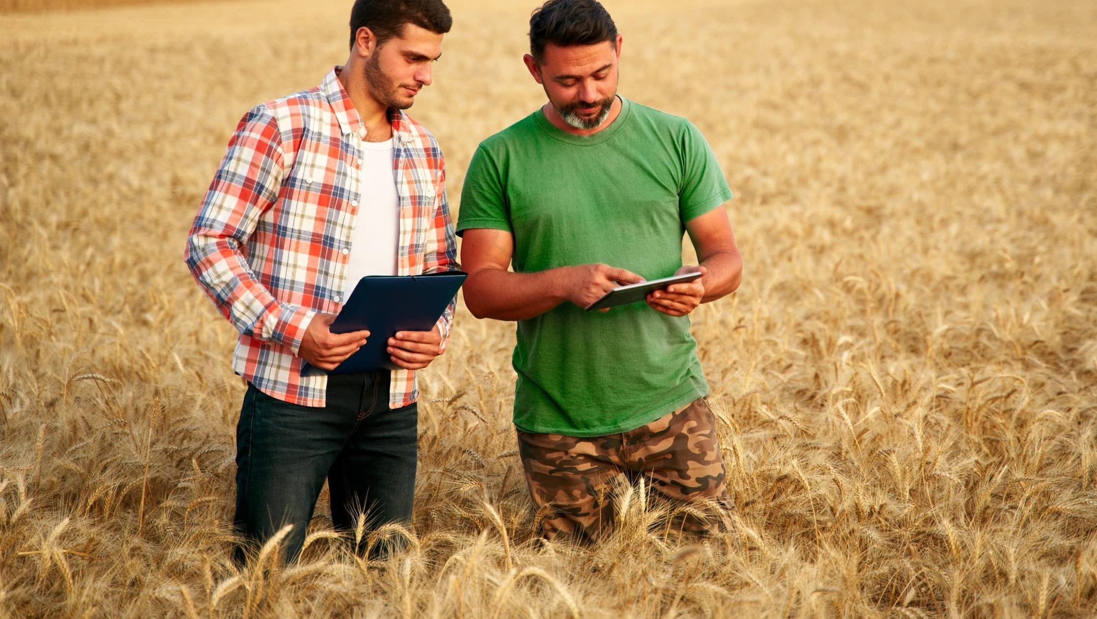 Two men standing together in the middle of a wheat field, both looking down at the laptop computer in the hands of the man on the right