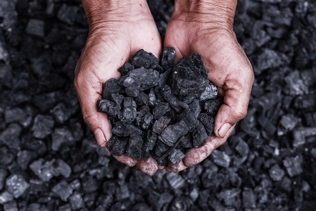 Biochar () Biochar