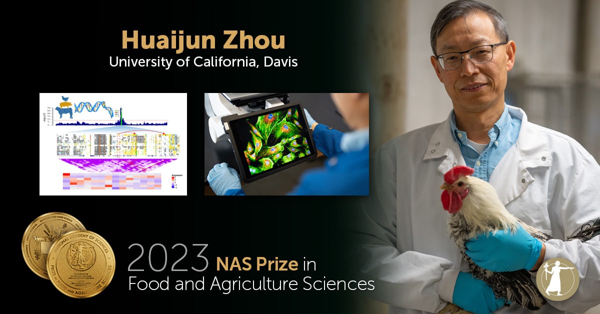 Huaijun Zhou Awarded the 2023 NAS Prize in Food & Agriculture Sciences