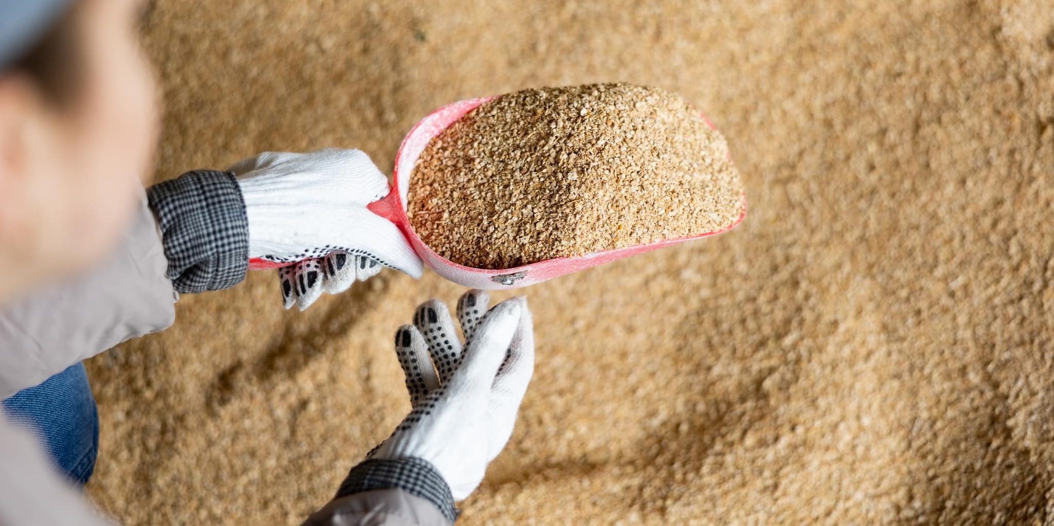 person with hat and two gloved hands holds a scoop of feed supplement over a large amount of the same feed supplement