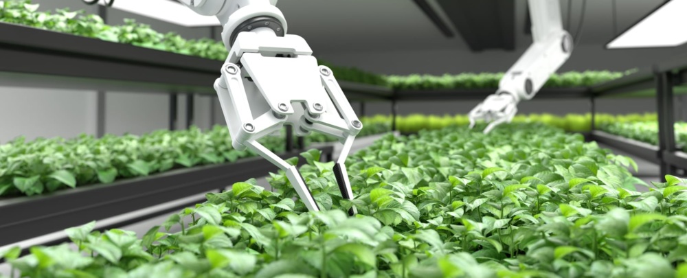 young plants in trays in indoor growing environment with two robotic arms reaching into the plants on the center tray