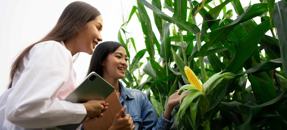 Two Asian women holding a tablet and a pad inspect an ear of corn in a cornfield