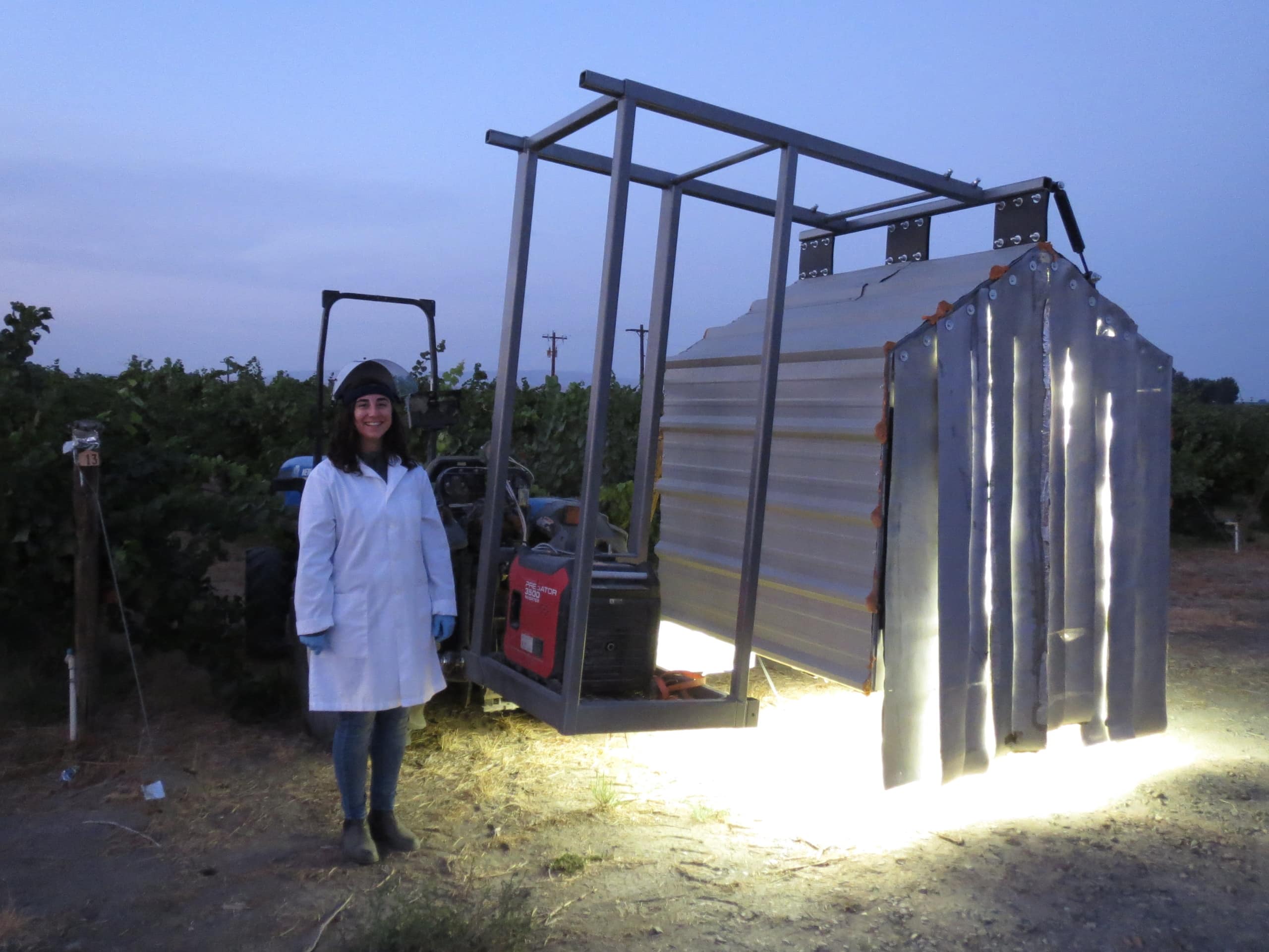 UVC light array is driven over the vine at night to treat vines for grape powdery mildew.