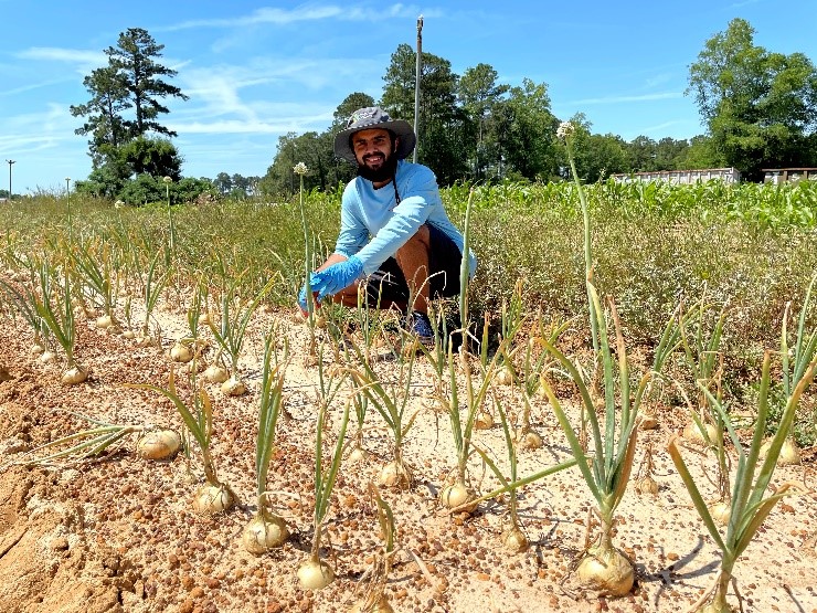 Paudel exploring onion field trials in Tifton, GA