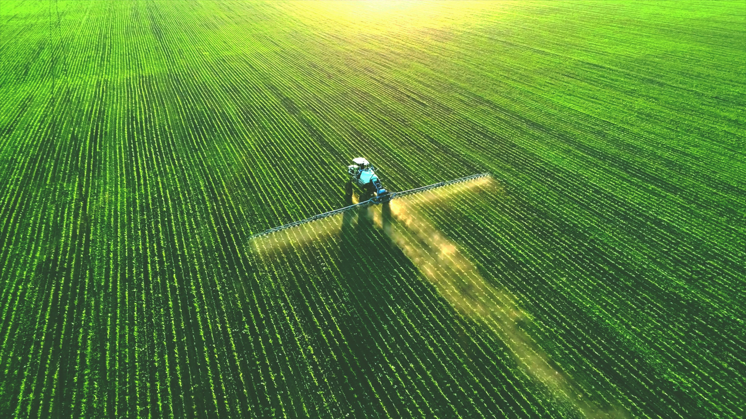 Tractor Spray Fertilizer On Green Field