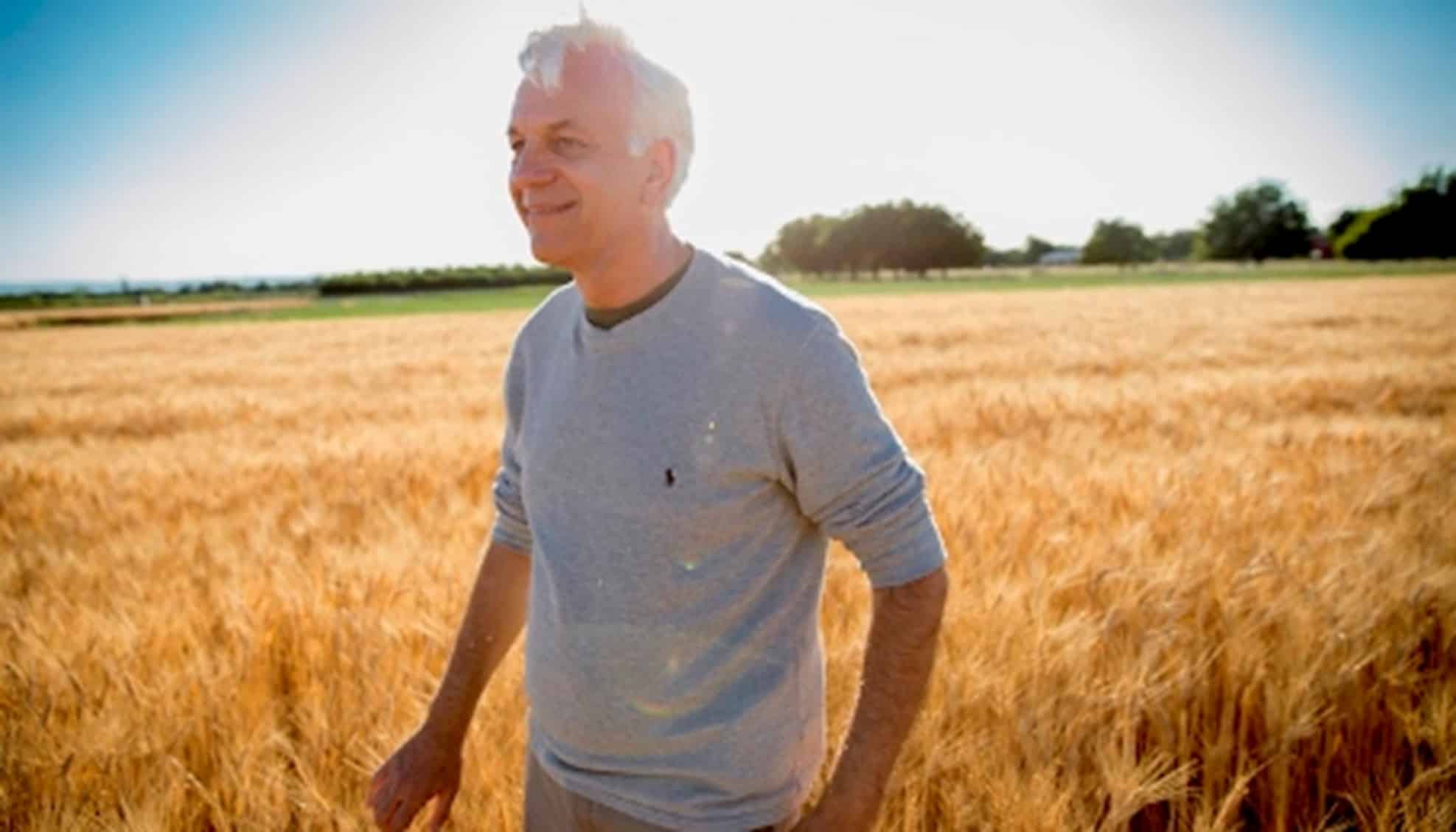 Ducovsky standing in a field of wheat.