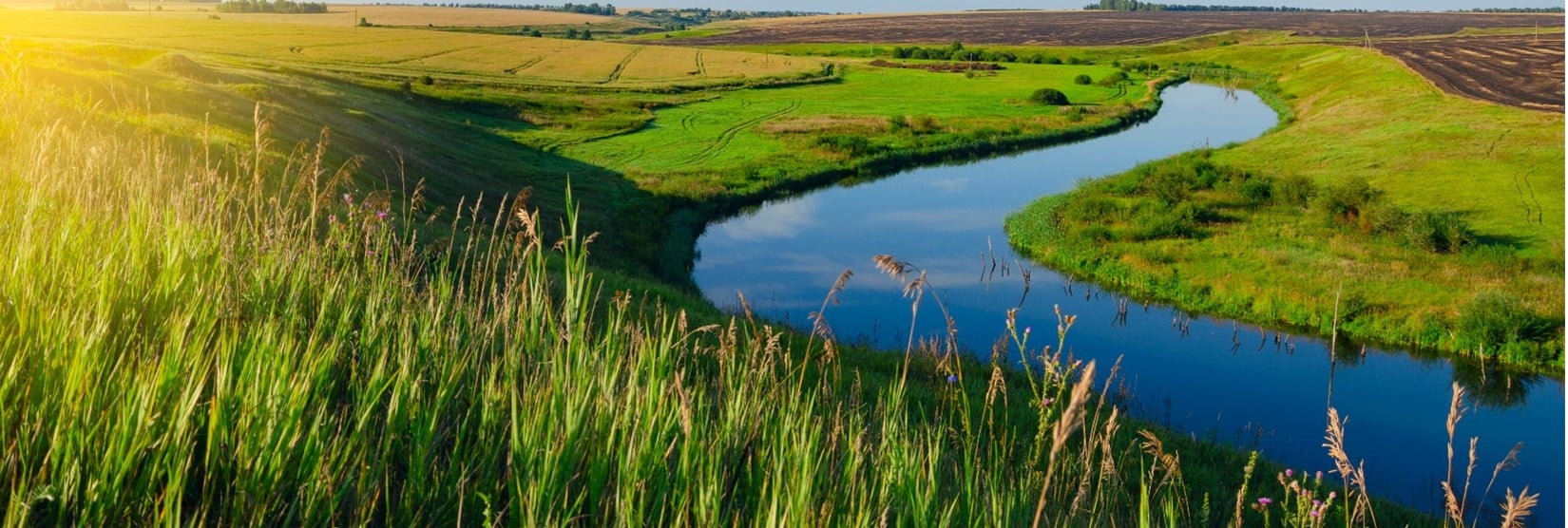 River flowing through field.