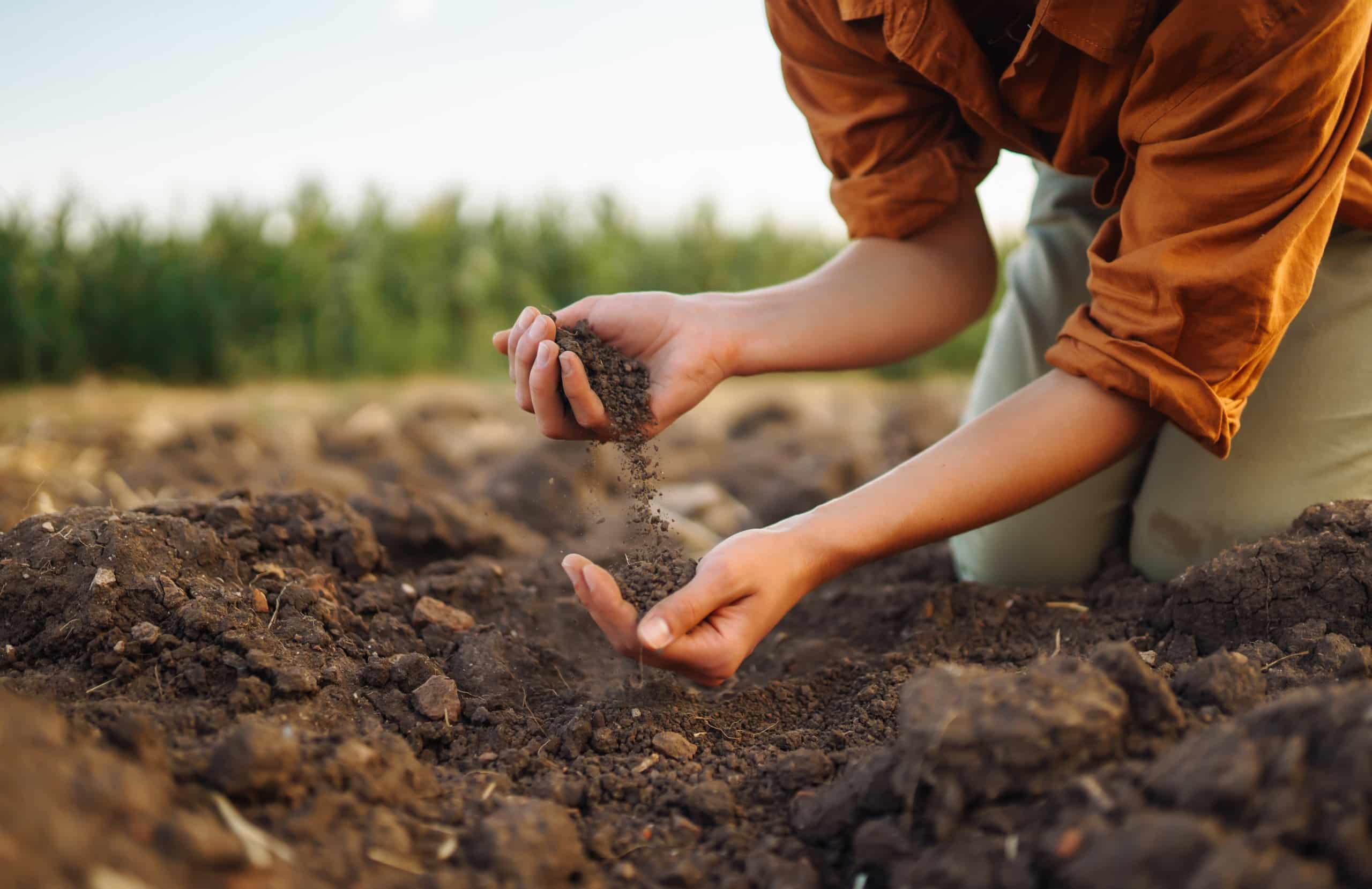 A farmer with her hands in soil