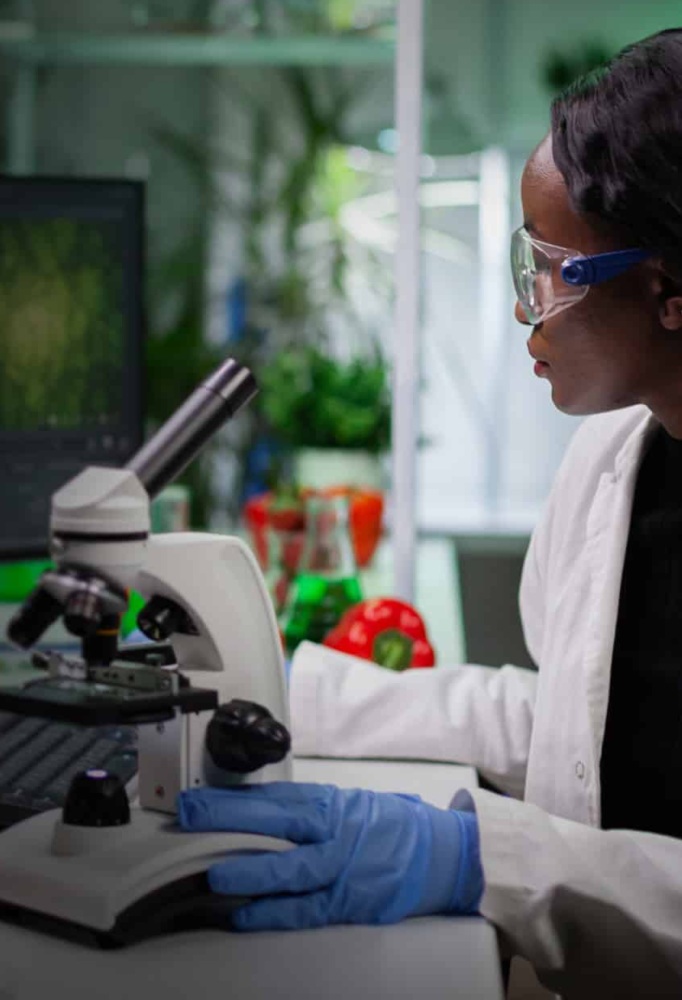 African american chemist researcher analyzing genetically modified plant expertise on computer working at gmo plants experiment in biochemistry laboratory. Woman biologist searching genetic muation