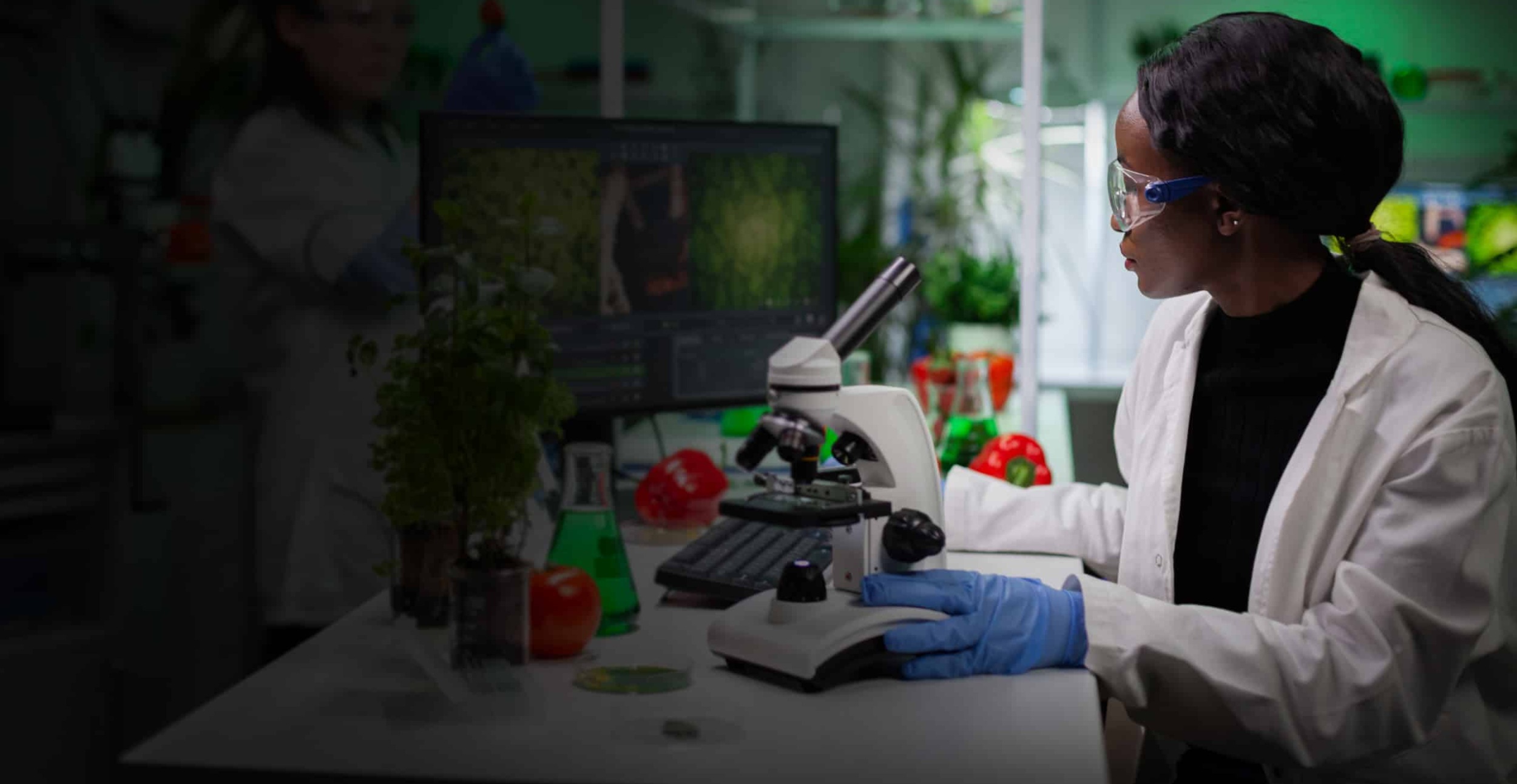 African american chemist researcher analyzing genetically modified plant expertise on computer working at gmo plants experiment in biochemistry laboratory. Woman biologist searching genetic muation