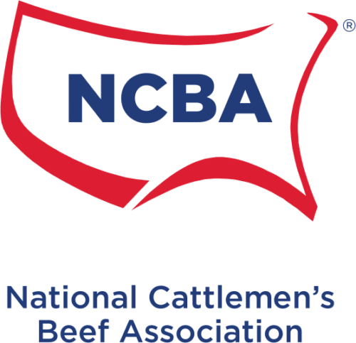 NCBA Logo