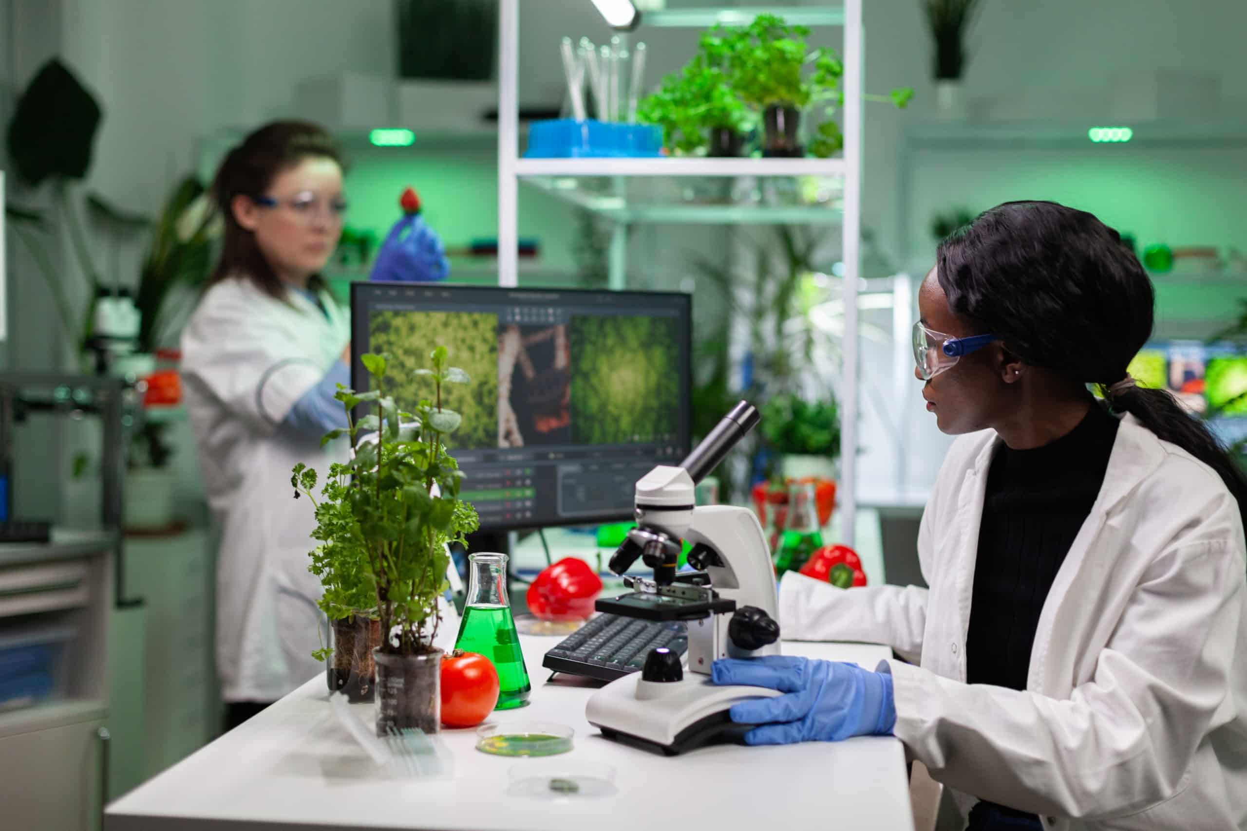 Woman in lab coat seated at a lab table with a computer monitor and microscope, and on the table plants, beakers and vegetables