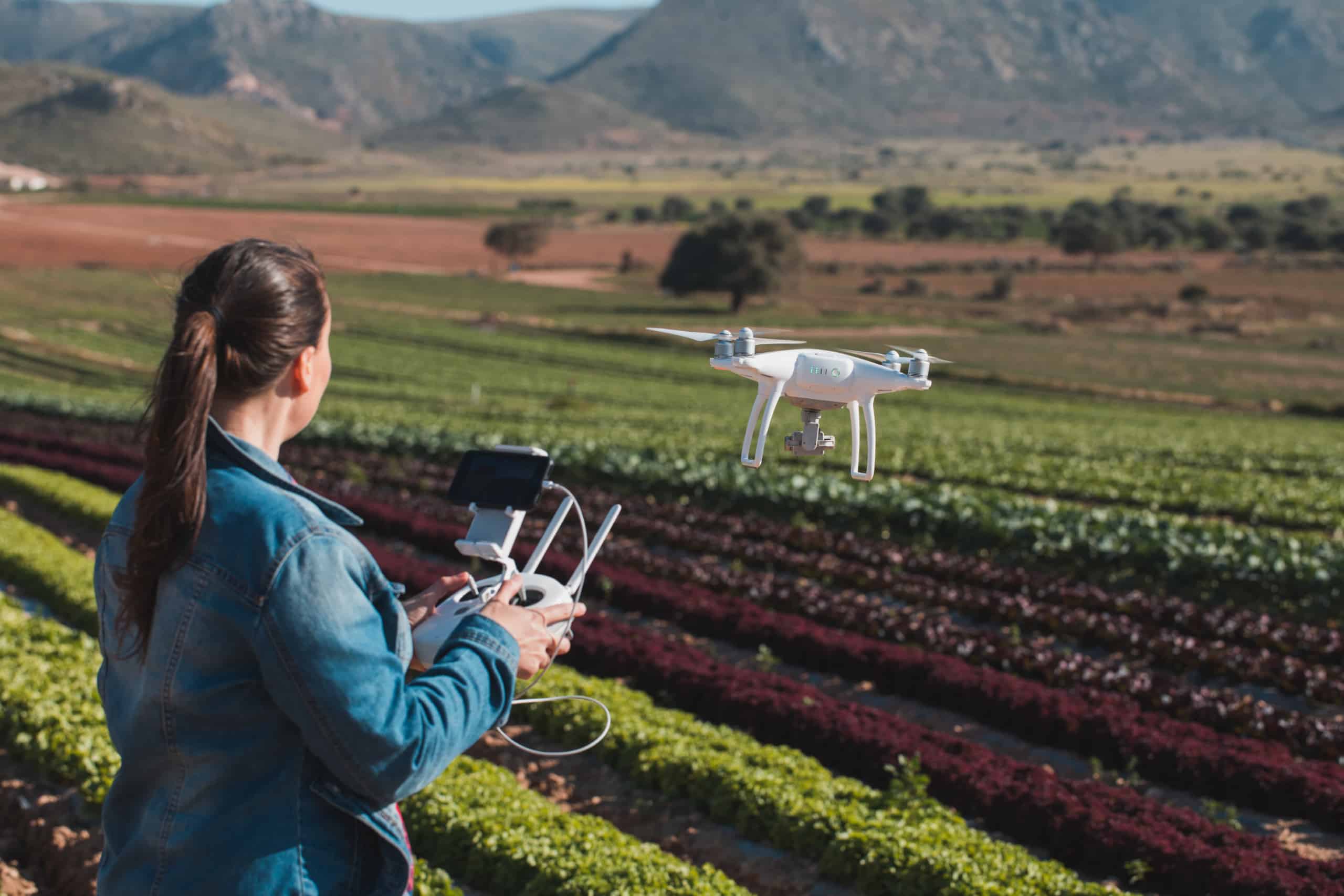 A women using a drone in a field of crops.