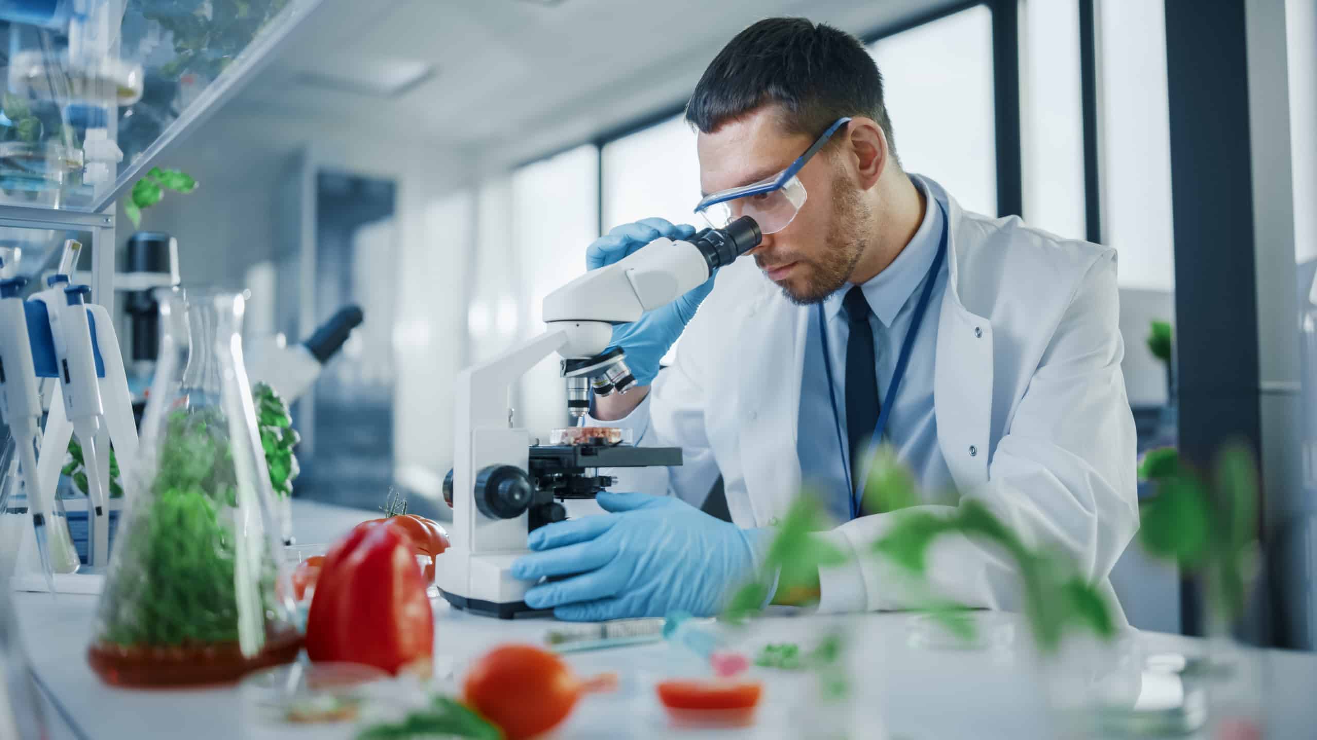 Scientist studies food under microscope