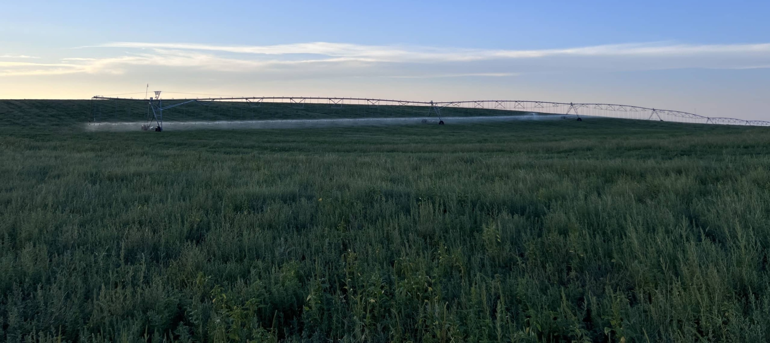 Irrigation in the sand hills region near Garden City KS, the focus area for the project. Photo credit: Jacob Stid