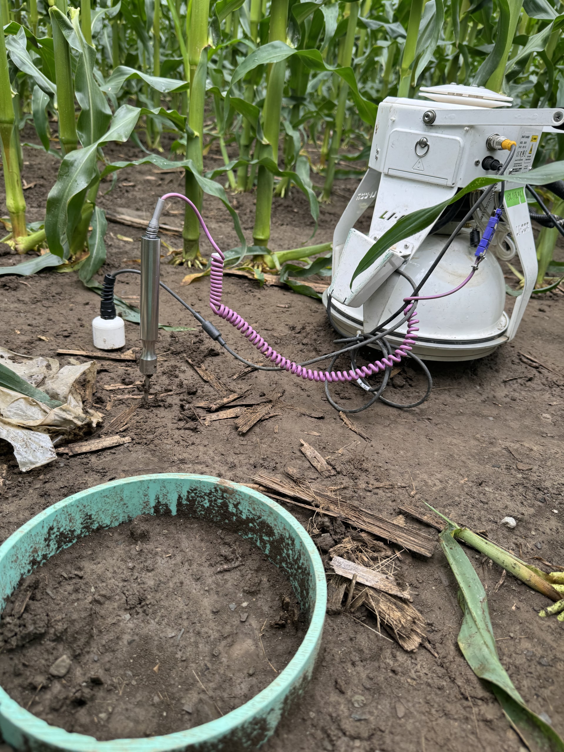 Probes from a LI-COR soil greenhouse gas measurement system measure soil moisture and temperature.