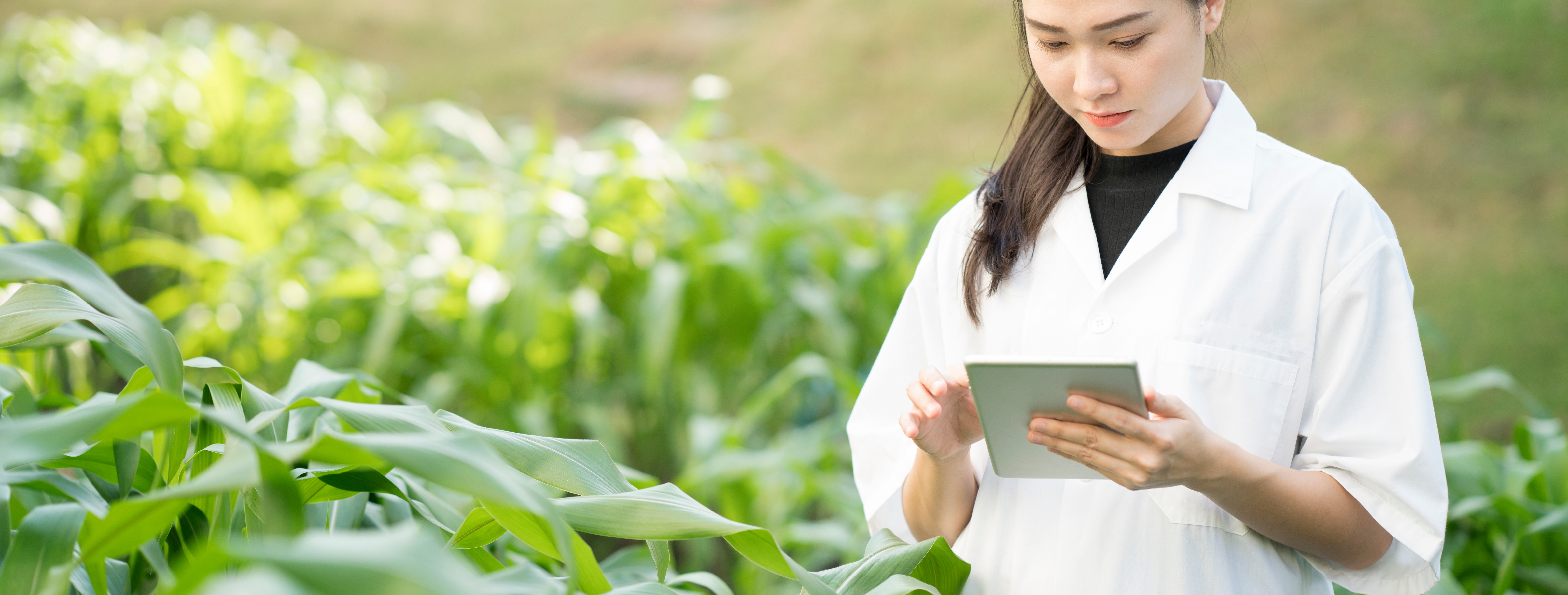 Scientists in Field with Tablet