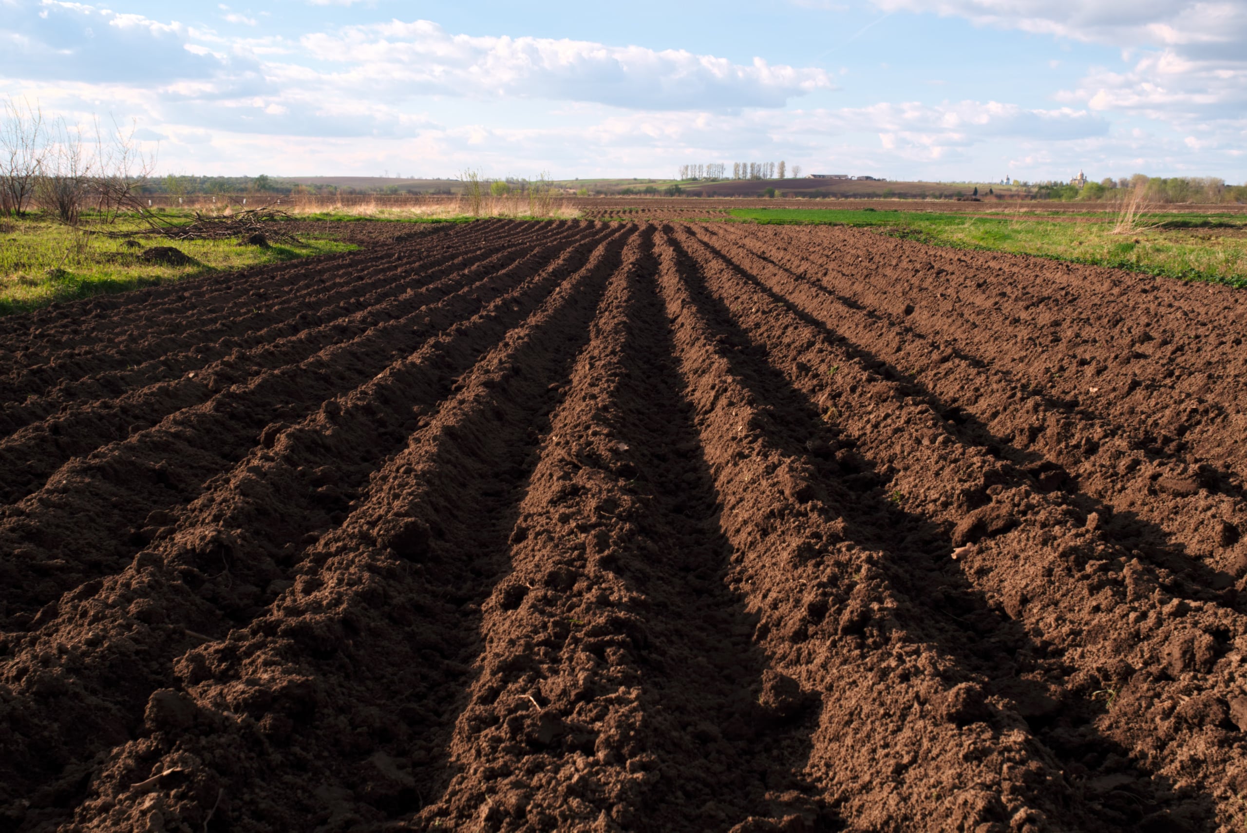 Healthy soil freshly plowed in a field.