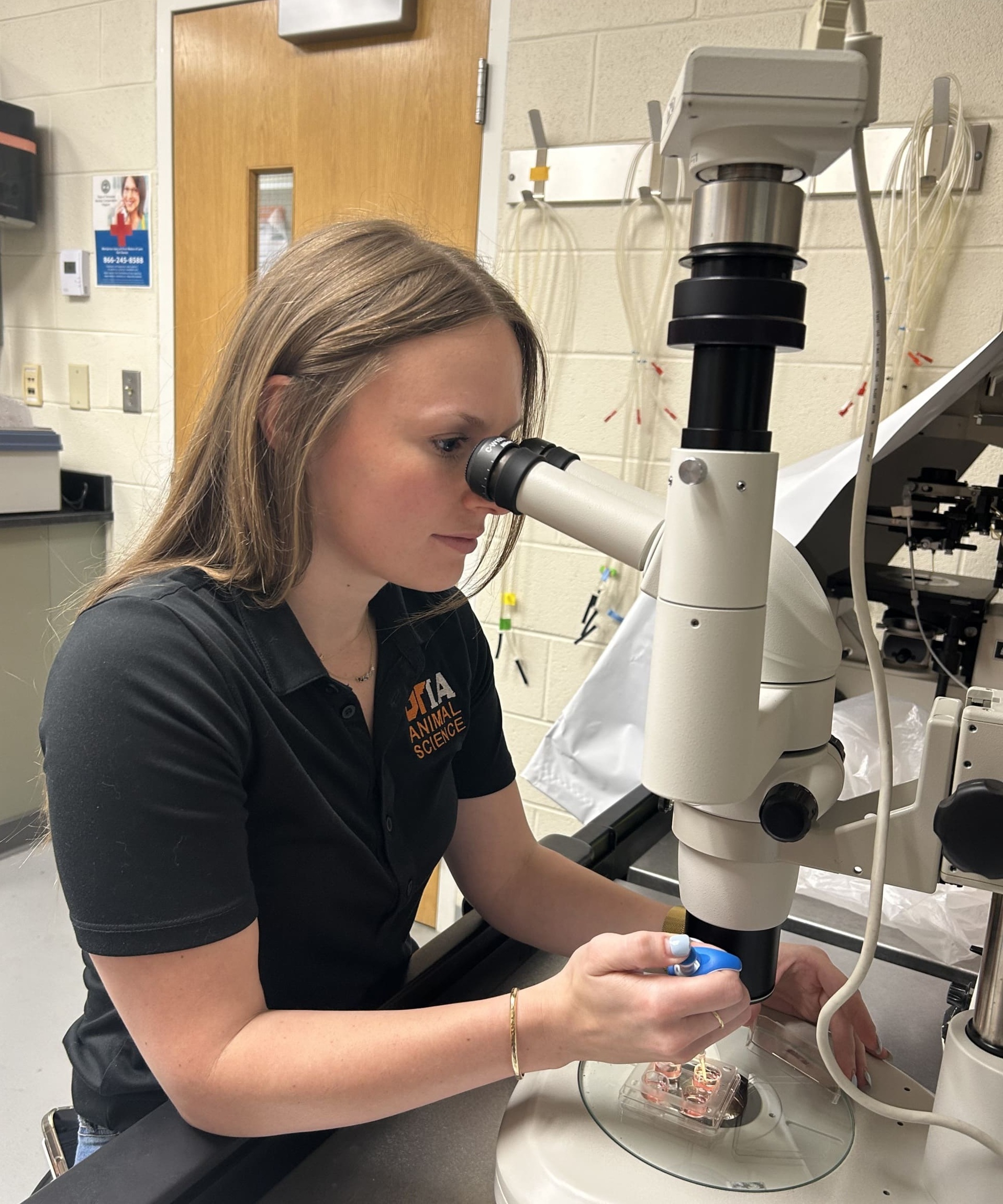 Seated woman in lab looks through microscope to create in-vitro-produced embryos