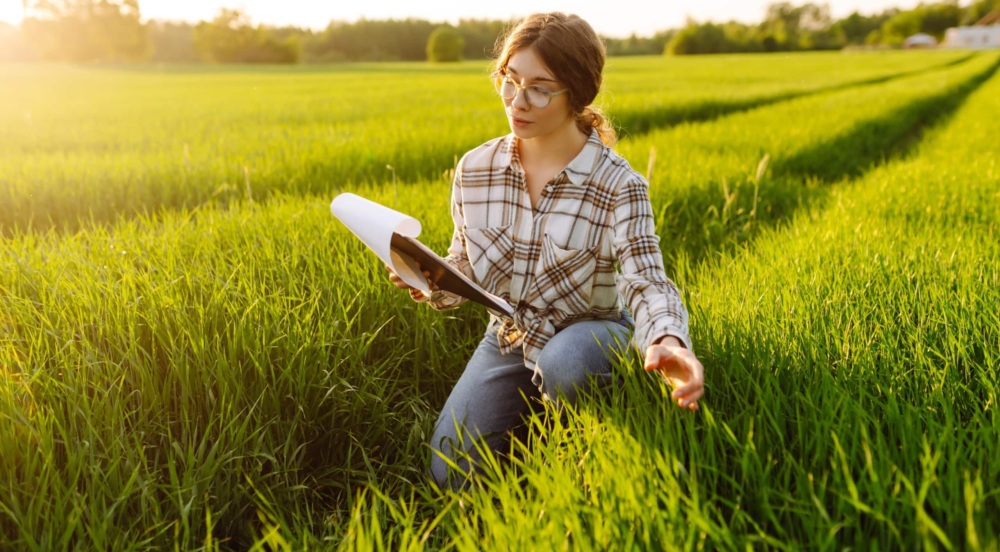 Scientist checking plants in field